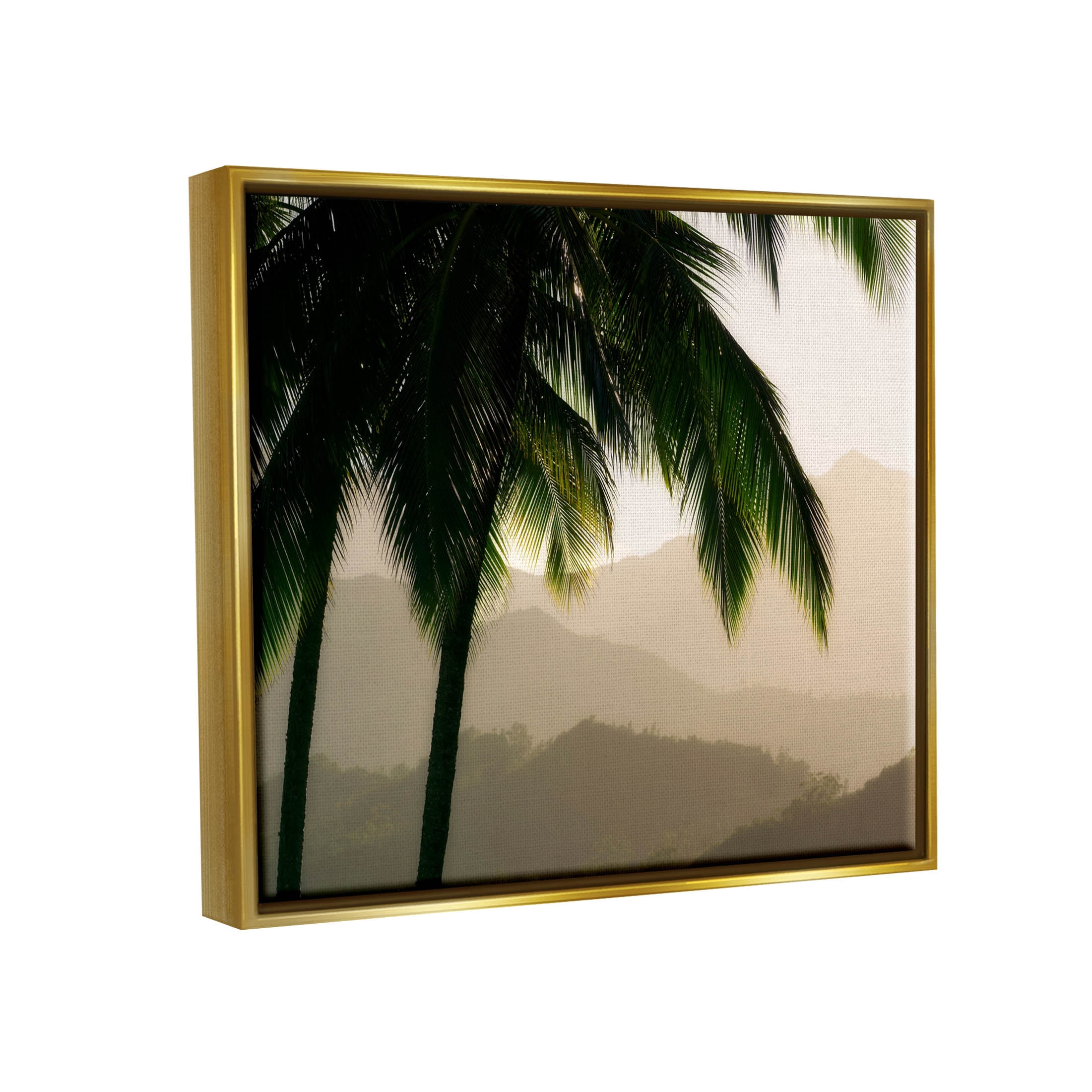 Stupell Industries Palm Trees At Sunrise Mountain Range Photograph Metallic Gold Floating Framed Canvas Print Wall Art, Design by Dennis Frates