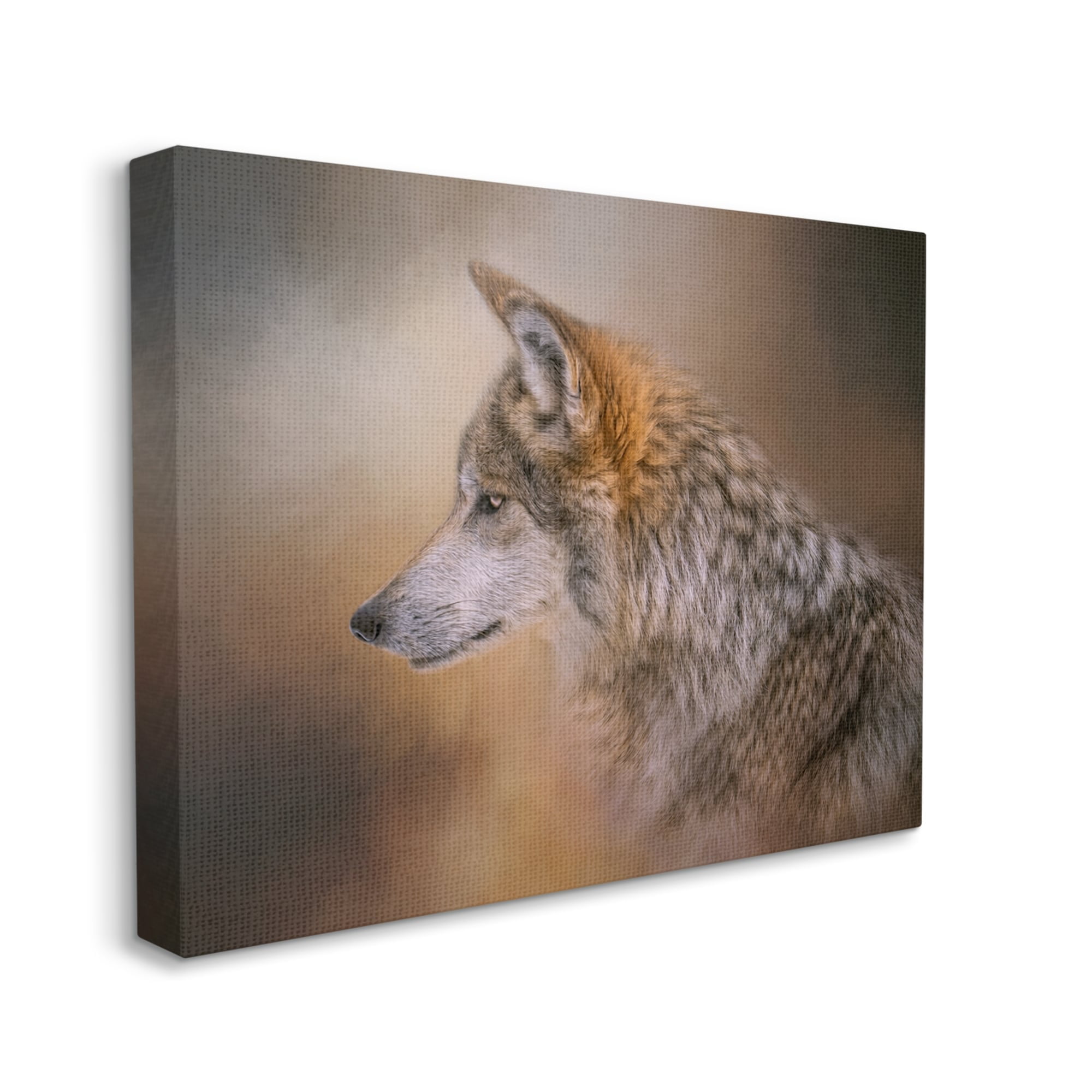 Stupell Wildlife Wolf Portrait Photography Animals & Insects Photography Gallery Wrapped Canvas Print Wall Art
