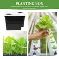 Axio Greenhouse Soilless Cultivation Plants Nursery Bucket Vegetables