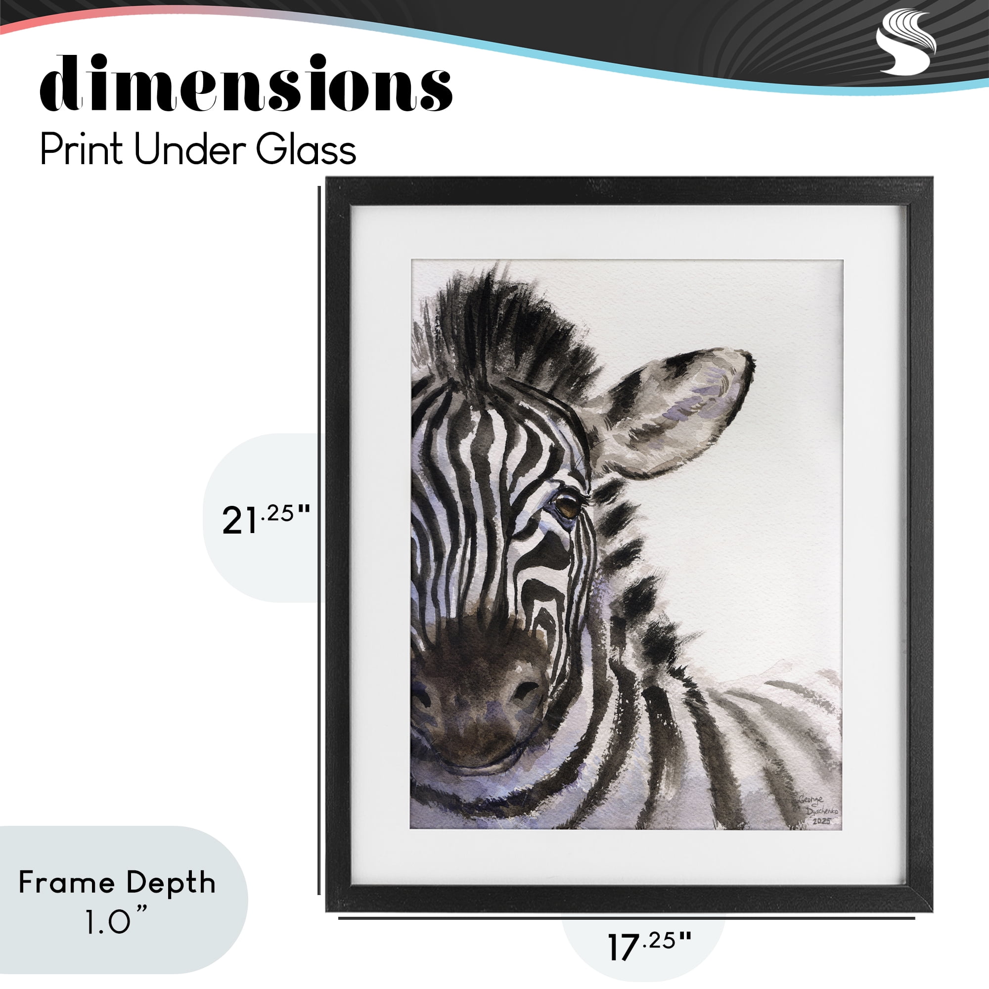 Stupell Industries Zebra Portrait on White Black Framed Print Under Glass, design by George Dyachenko