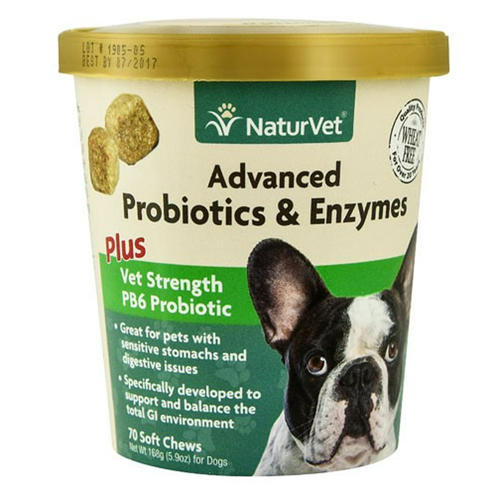 NaturVet Advanced Probiotics & Enzymes Supplement for Dogs, 70 Soft