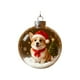 thumbnail image 2 of Adorno navideño de bola de cristal con miniescena invernal | Esfera transparente 3D con Papá Noel y destellos | Colgante para árbol festivo, regalo para decoración navideña, 2 of 5