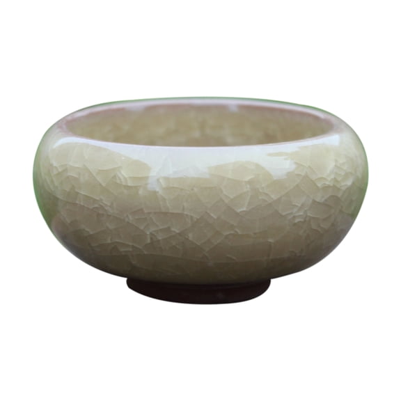 AYYUFE Flower Pot Delicate Ceramic Compact Succulent Plant Planter for Home