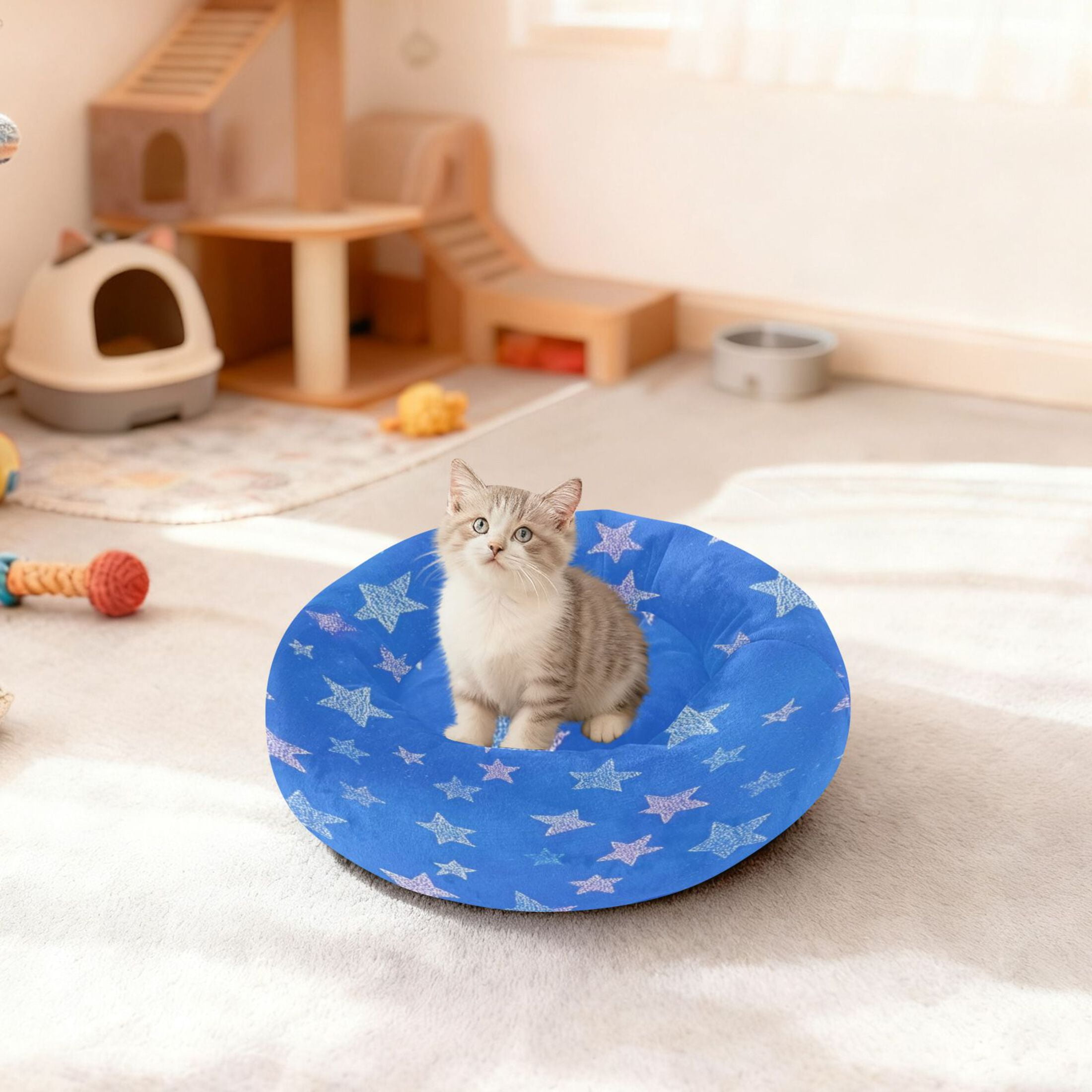 Iauyy Pet Couch Donut Cat Bed for Indoor Cats/Small Dogs Washable & Machine with Non-slip Bottom Calming Cat Furniture, Shining Stars (M)