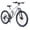 Grey, variant on Raistyw 26" Mountain Bike for Adults, 21-Speed Adult MTB with Disc Brakes, High-Strength Steel Frame, All-Terrain Off-Road Bicycle for Men and Women, Grey