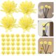 thumbnail image 1 of YSNOOWE 100Ud Difusor De Con Flores Amarillas Para Y Ambientador Natural, 1 of 6