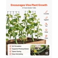 thumbnail image 5 of Cucumber Trellis 4 Pack A-Frame Garden Trellises for Raised Bed Metal Rustproof Coating Plant Support for Vine Climbing Plants Peas Beans Zucchini Tomato Flower 38.98 x 15.75 in, 5 of 6