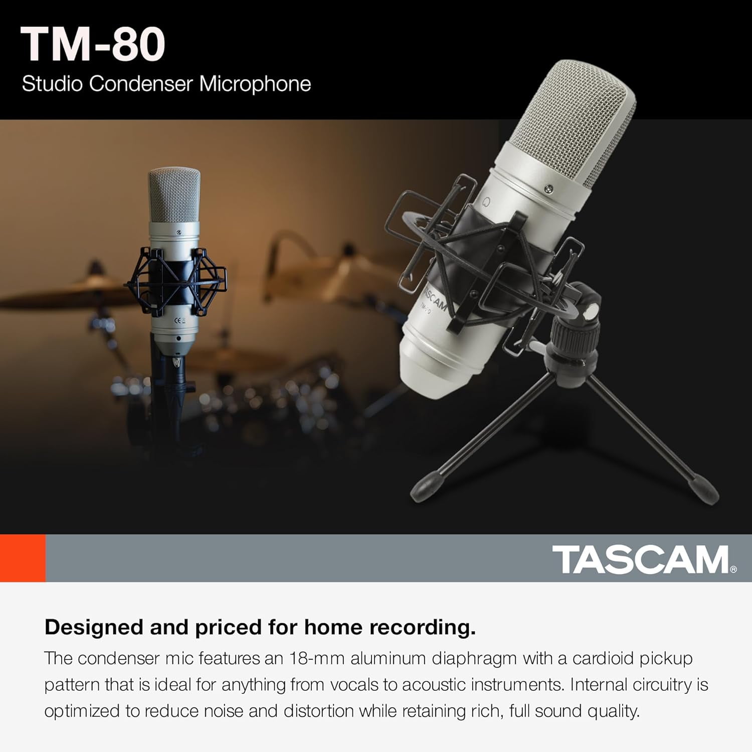 TM-80 Large Diaphragm Condenser Microphone Silver for Home Recording Streaming Singing