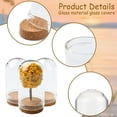 thumbnail image 3 of 1set 15pcs 3 styles Glass Dome Cloche Cover Bell Jar with Cork Base For House Container Dried Flower Display Decoration Clear 22~30x36.5~69mm 5pcs/style, 3 of 6