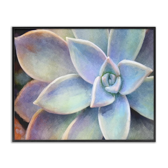 Stupell Industries Farmhouse Succulent Plant Vibrant Bloom Black Framed Giclee Art, 30 x 24, by Joshua Chace