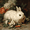 White Rabbit Flowers, variant on UXIEQU Leopard Glitter Unicorn Canvas Wall Art 15.75x11.81 Inches