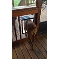 thumbnail image 2 of 12" x 16" Magnetic Lockable/Automatic Lock Pet Screen Door Dog Gate Way Pet Door for Screens, 2 of 4