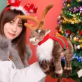 thumbnail image 5 of Simulation Elk Dolls Merry Christmas Lifelike Animal Soft Stuffed Fluffy Xmas Home Decor Plush Deer Toys Children Birthday Gift, 5 of 5