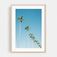 thumbnail image 2 of Diagonal Palms - Newport Beach California Photography Unframed Wall Art Print 5 x 7 inches, 2 of 60