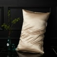 thumbnail image 2 of Pillow Case 100% Silk Quality Slip Solid Color Two-Sided Bedroom Decoration, 2 of 6