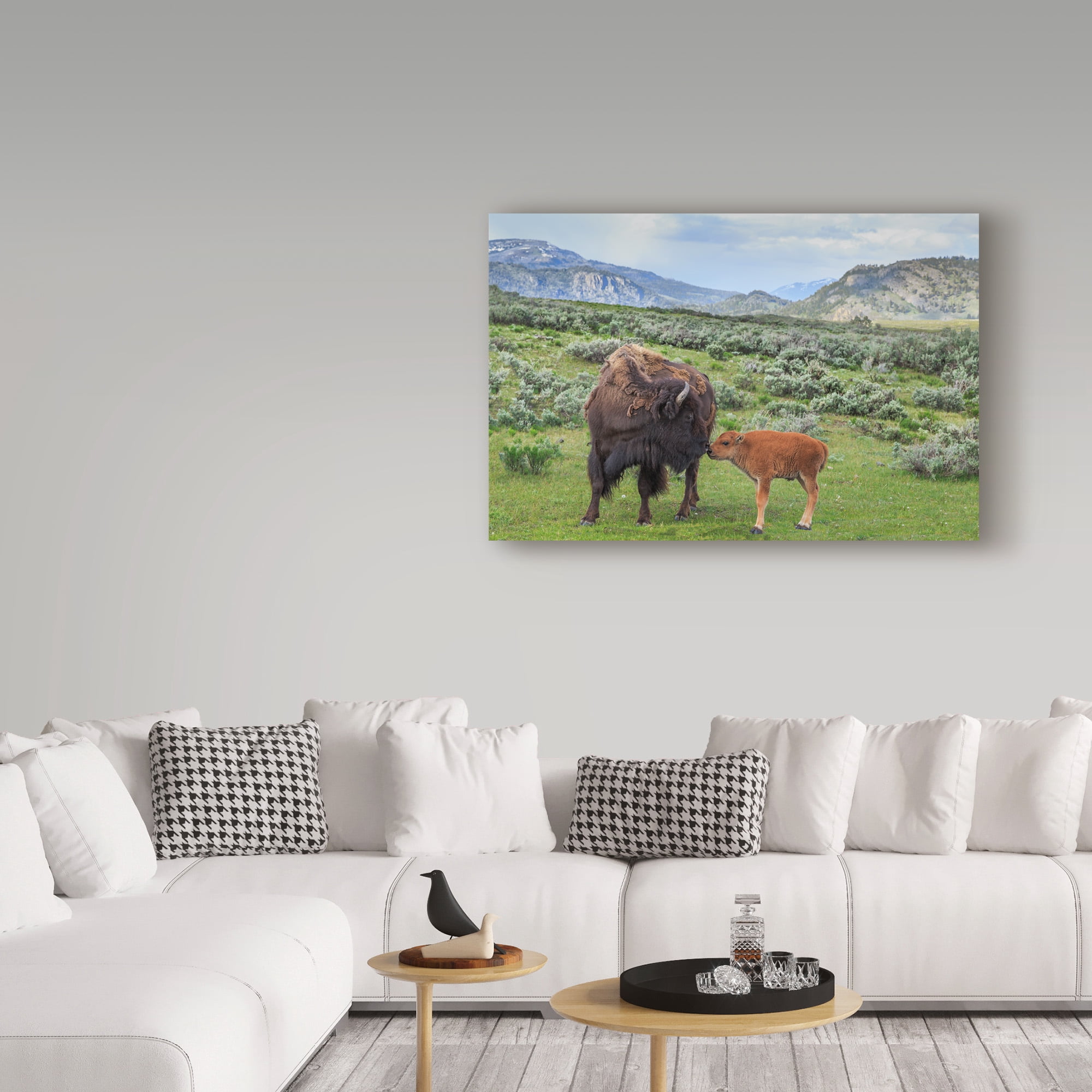 Trademark Fine Art 'Bison And Calf' Canvas Art by Galloimages Online