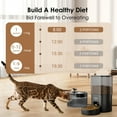 thumbnail image 4 of Rywell Automatic Cat Feeder with Water Dispenser, 2-in-1 Feeding Set with Feeding Schedule & Voice Recorder, Dual Power Supply, Auto Cat Food Dispenser for Cat, 4 of 8