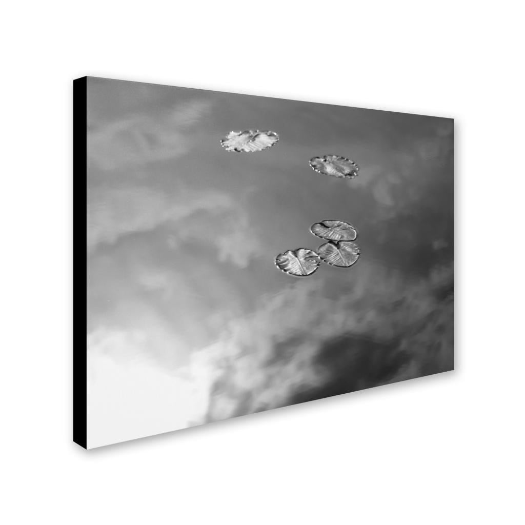 Trademark Fine Art "Lily Pads & Sky" Canvas Wall Art by Patty Tuggle