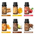 thumbnail image 6 of HIQILI Spice Fragrance Oil Set, 6 Pack 10mLScented Oil for Diffuser Candle&Soap Making DIY Recipes, 6 of 9