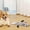 B, variant on Heavy Duty Linen Dog Toy for Aggressive Chewers, Tough Indestructible Chew Toy for Large Medium Dogs, No Stuffing Durable Fabric Toy for Power Chewers Who Destroy Plush