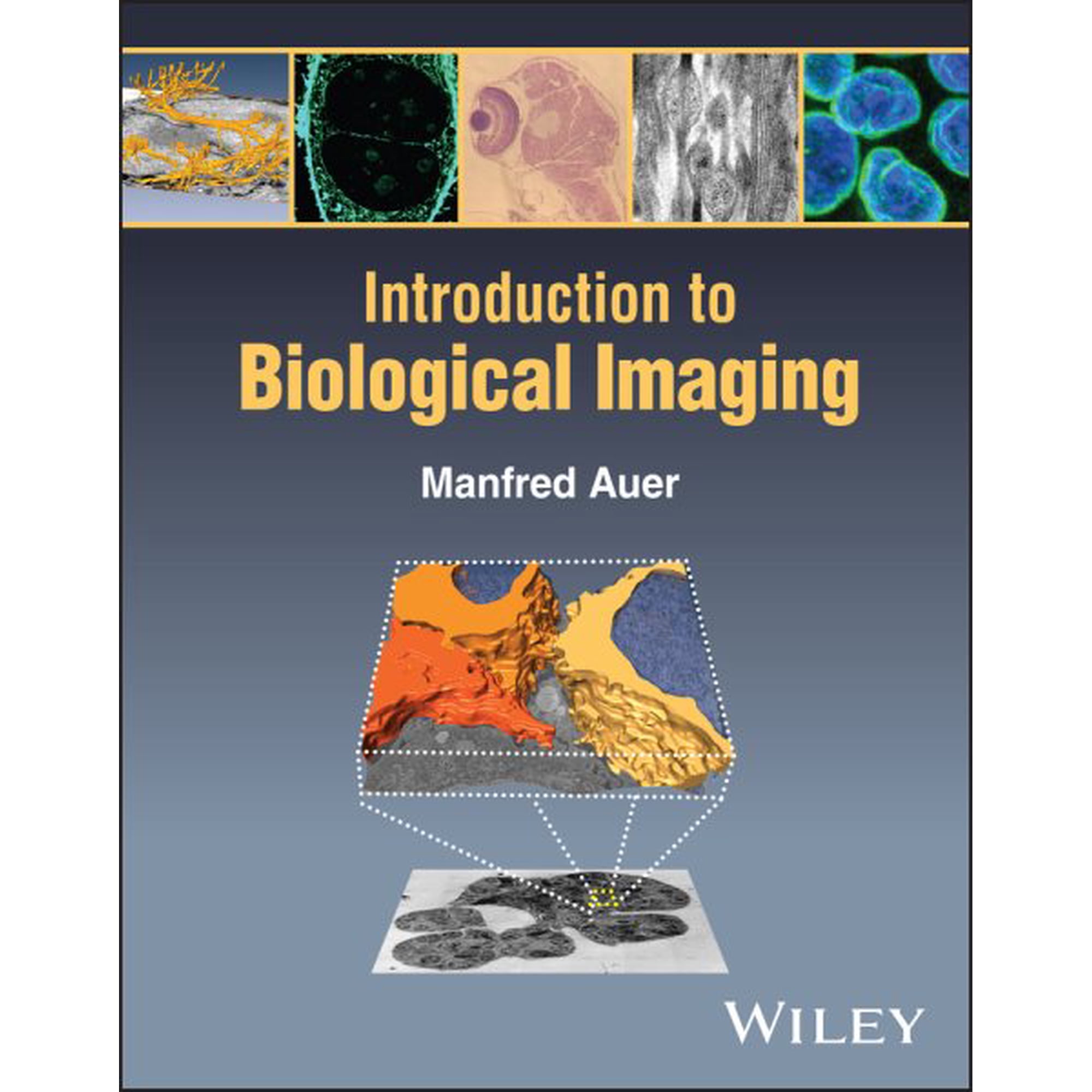 Introduction to Biological Imaging