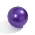 thumbnail image 1 of Total Body Balance Ball Kit - Includes Anti-burst Stability Exercise Yoga Ball, Air Pump Red 55cm, 1 of 5