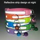 thumbnail image 4 of Collares para cachorros, collares en D ajustables separables de 19 a 32 cm, collares de identificación de arena para cachorros de perro, 4 of 5
