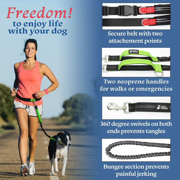 Exploring the Benefits of Dog Leash Bungee Style: A Must-Have for