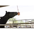 thumbnail image 2 of Soporte y recambio para aperitivos Stall Horsemen's Pride, 2 of 3