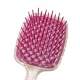 thumbnail image 2 of Cepillos de pelo rizado con rejilla hueca, masajeador de cuero cabelludo antienredos, herramienta de estilismo Tmvgtek Cuidado Belleza, 2 of 7