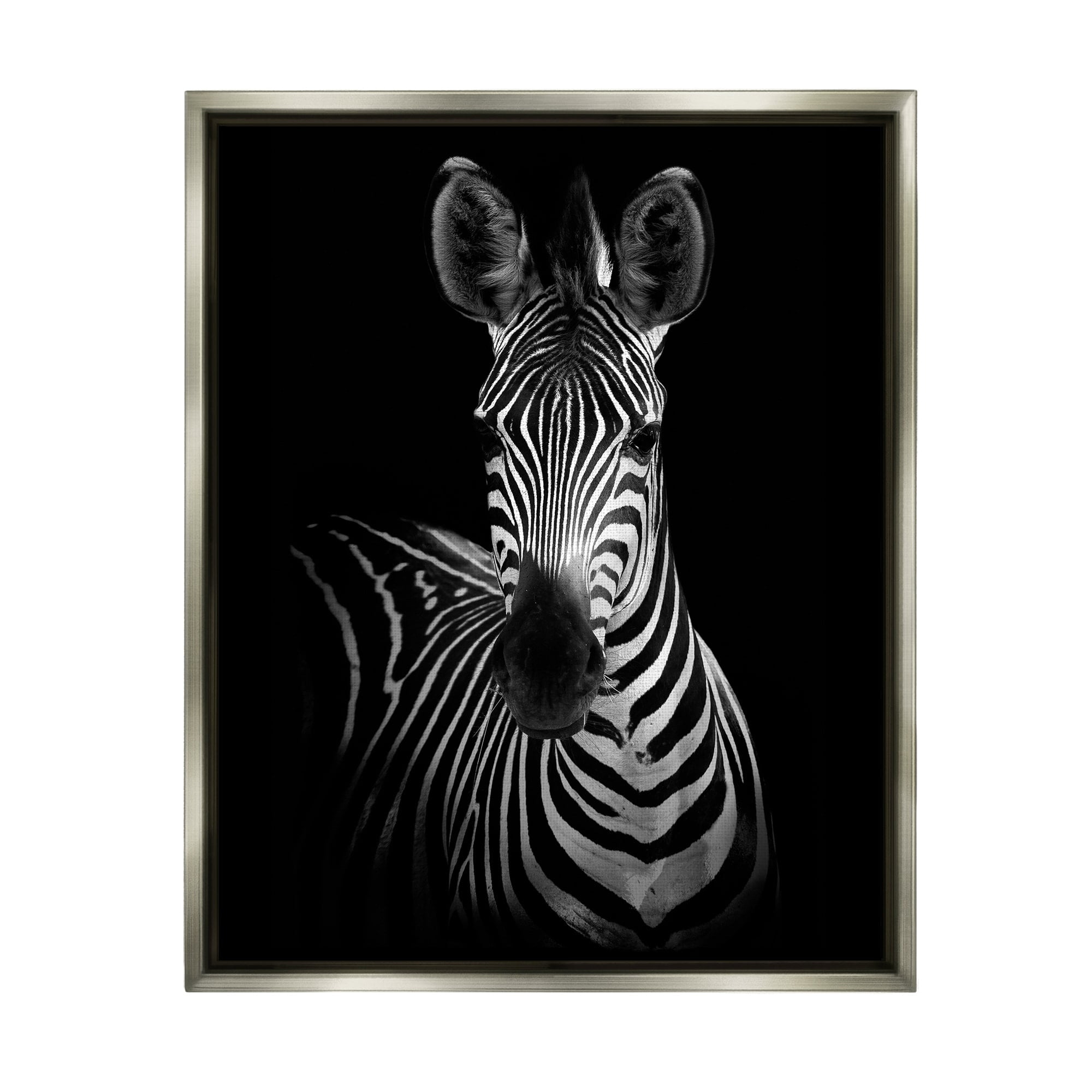 Stupell Industries Striking Greyscale Monochrome Zebra Photography Portrait Luster Gray Framed Floating Canvas Wall Art, 16x20, by Incado