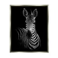 thumbnail image 3 of Stupell Industries Striking Greyscale Monochrome Zebra Photography Portrait Luster Gray Framed Floating Canvas Wall Art, 24x30, by Incado, 3 of 5