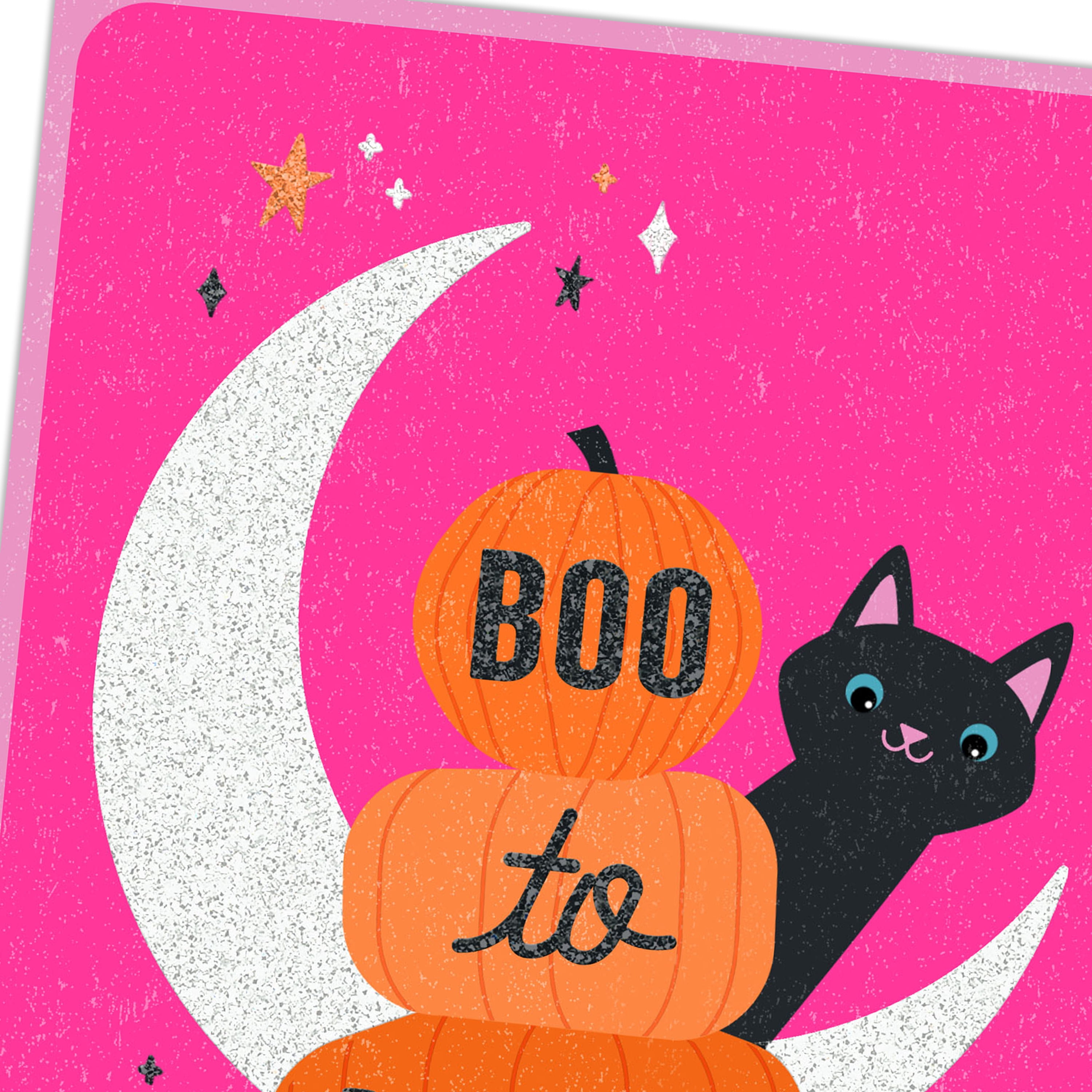HMK CRD Pink Cat on Moon