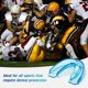 thumbnail image 5 of Protector bucal deportivo para jóvenes Protector bucal para aparatos ortopédicos Sparring Protector bucal, aparatos ortopédicos dobles, calidad premium No requiere ebullición, fútbol, ​​​​balonce, 5 of 5