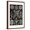 Brown Frame, variant on Art.com Lichens Art Print by Ernst Haeckel, 12" x 18"