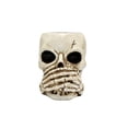 thumbnail image 1 of Decoración de Oficina Del Hogar Cráneo Succul Ent Pot Material de Resina Estilo Decorativo de Halloween Adecuado para Colocar en Escritorios de Casa Y Oficina Regalos de Oficina Del Hogar, 1 of 6
