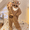 Beer A1, variant on Funny Cartoon Coral Fleece Women’s Onesie Thickened Lazy Style Hoodless Jumpsuit Sleepwear, Soft Plush Polyester One‑Piece Pajama for Spring Autumn Winter Home Loungewear