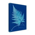 thumbnail image 2 of Unknown 'Cyanotype Ferns II' Canvas Art, 2 of 3