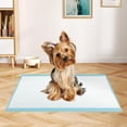 thumbnail image 2 of Dog Pee Pads 300 Count, 24" x 17" Puppy Training Pads for Small Dogs, Super Absorbent Leak-Proof Disposable Potty Pads for House Training, Indoor & Outdoor Use, 2 of 8