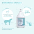 thumbnail image 2 of DermaBenSs Shampoo, Gallon, 2 of 5