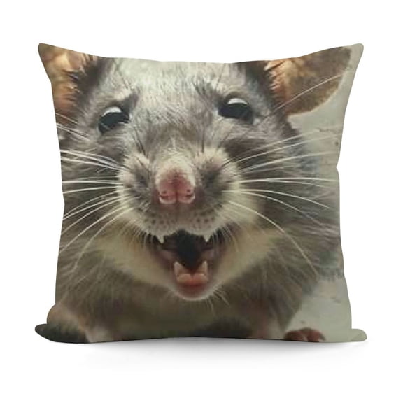 YINGXI  Hey Baby Opossum Throw Pillow Cover Cute Animal Pillow Case Bed 12x12in