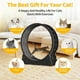 thumbnail image 5 of Accessories for Cats Cat Wheel Cat Exercise Wheel for Indoor Cat Pulsive and Training Toys Supplies Pet Products Home Garden ShopWise Round, 5 of 7