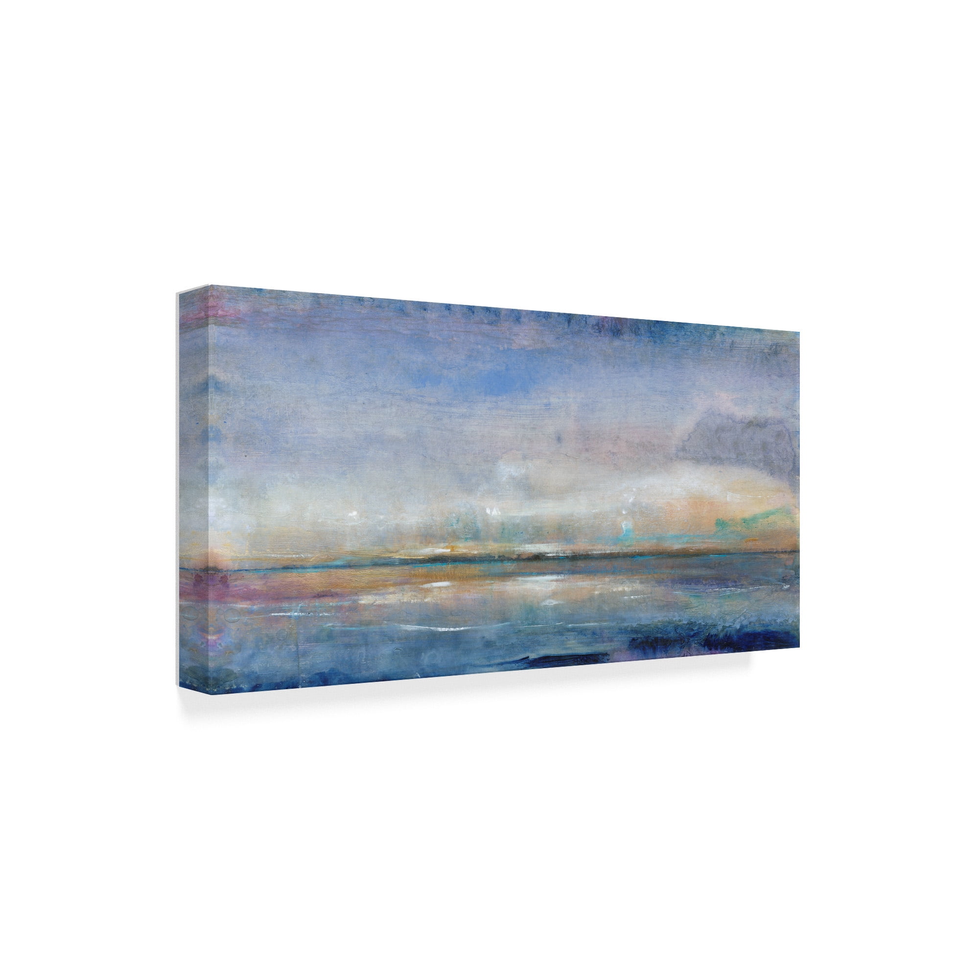 Trademark Fine Art 'Ocean Spray I' Canvas Art by Tim OToole