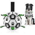 thumbnail image 1 of Pelota de entrenamiento para perros en forma de balón de fútbol, juguete para mascotas, 1 of 5