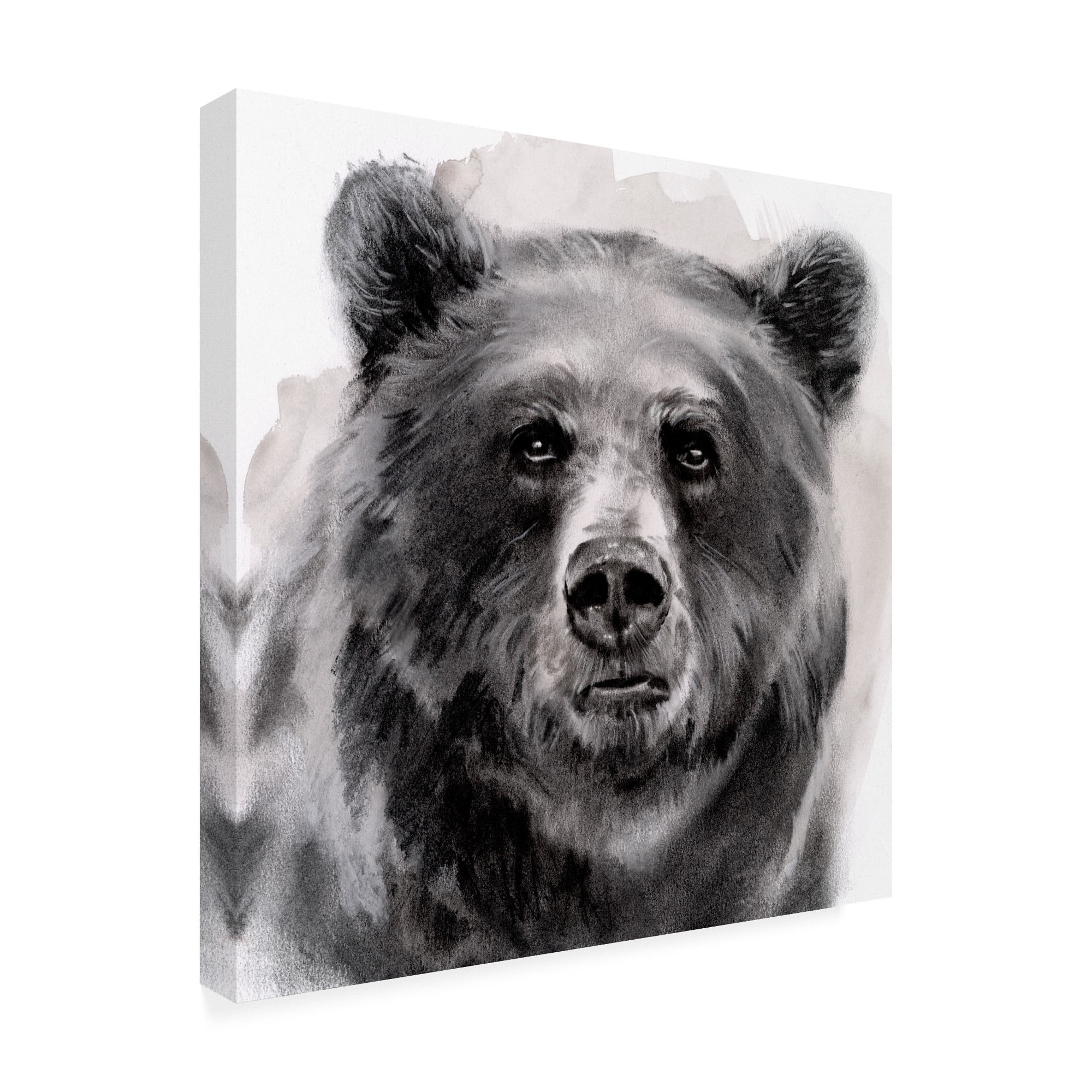Trademark Fine Art 'Bear Grin II' Canvas Art by Jennifer Paxton Parker