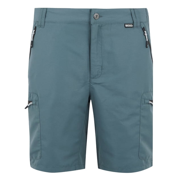 Regatta Mens Leesville III Shorts