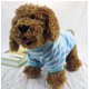 thumbnail image 4 of Zhuge Camiseta para perros y gatos, camisetas transpirables para mascotas, sudadera para cachorros, ropa para perros, prendas de vestir, abrigos para perros pequeños, medianos y gatos, naranja, M, 4 of 4