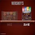 thumbnail image 6 of Hershey's Milk Chocolate Harry Potter™ Snack Size Halloween Candy, Bag 23.4 oz, 6 of 8