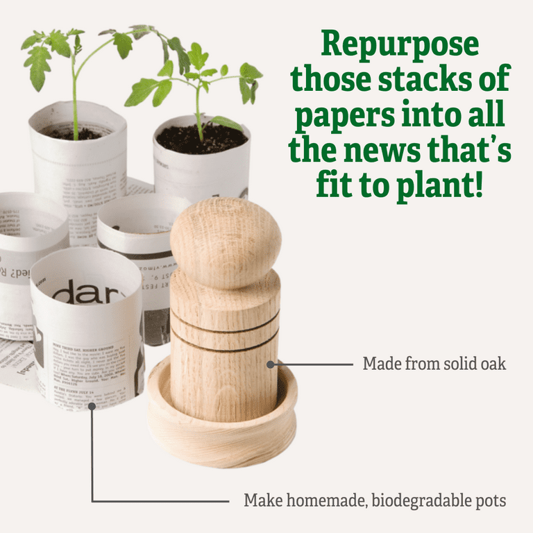 plants self watering Self-Watering Cedar Slat Planter with Self (21 x 47 x 32"H) + Greenhouse &  Bug Cover