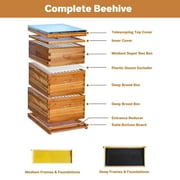10-Frames Complete Beehive Kit, 100% Beeswax Coated Bee Hive Includes 2 Deep Box and 1 Medium Bee Box with Beehive Frames and Beeswax Coated Foundation for Beekeeping Supplement